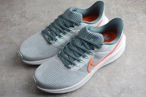 Zoom Pegasus 39