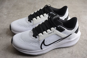 Zoom Pegasus 40