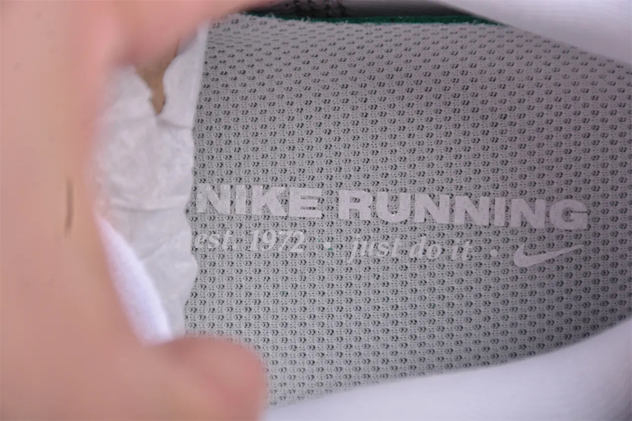 Air Zoom Pegasus 41