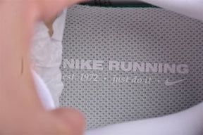 Air Zoom Pegasus 41