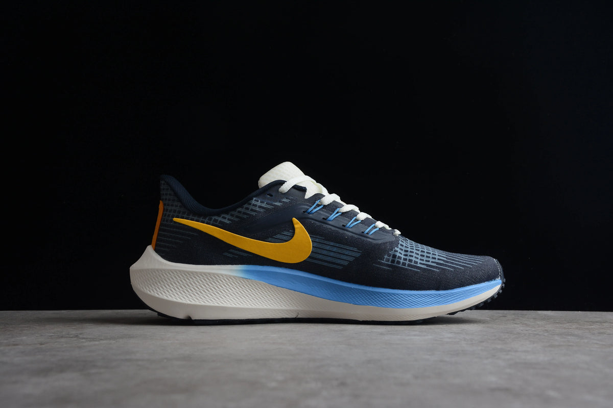 Air Zoom Pegasus 39