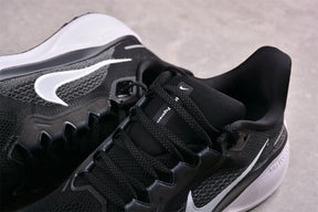 Air Zoom Pegasus 41