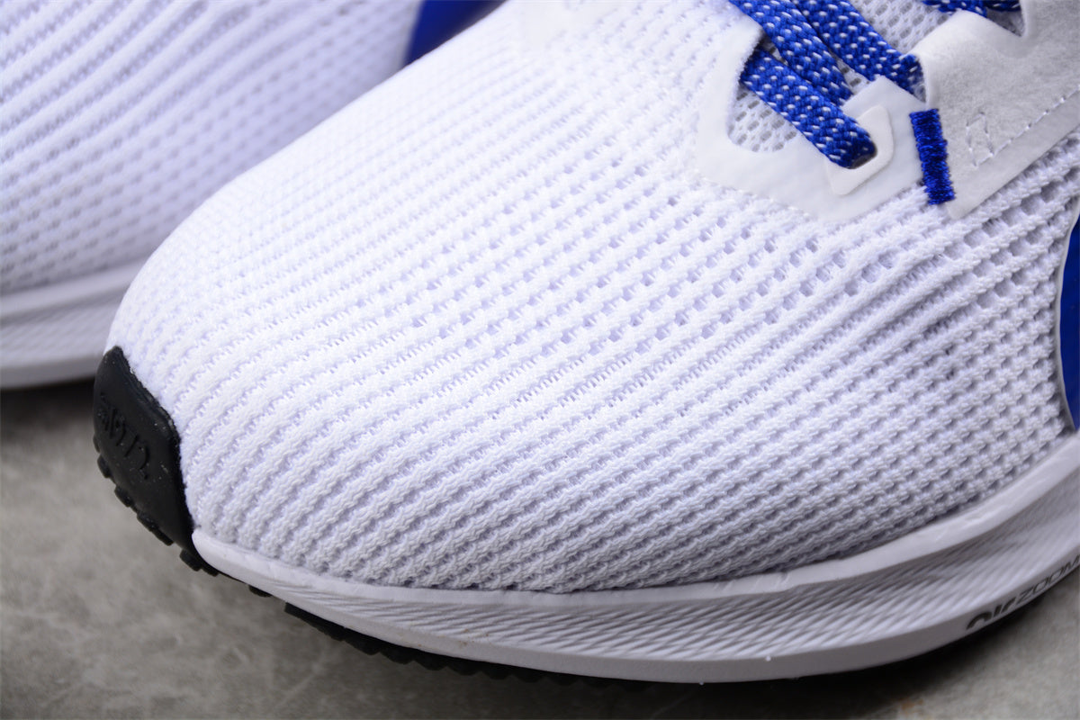 Air Zoom Pegasus 40