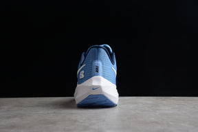 Air Zoom Pegasus 39