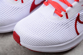 Air Zoom Pegasus 40