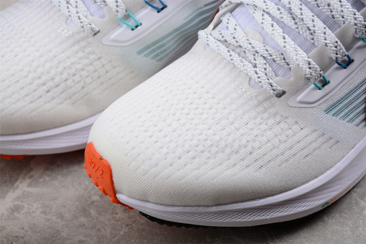 Zoom Pegasus 39