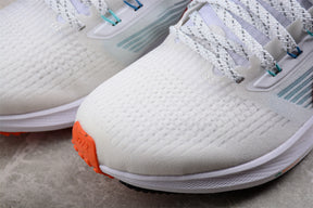 Zoom Pegasus 39