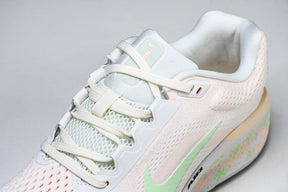 Zoom Winflo 11