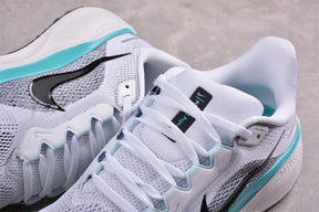 Air Zoom Pegasus 41