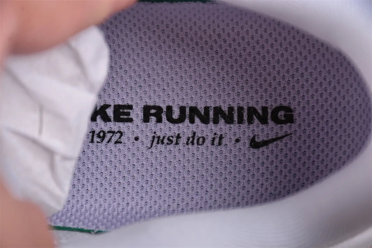 Air Zoom Pegasus 41