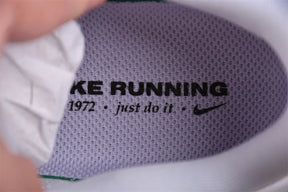 Air Zoom Pegasus 41