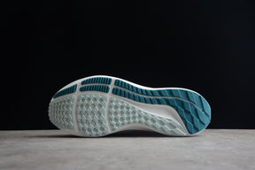 Zoom Pegasus 39