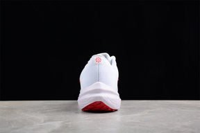 Zoom Winflo 10