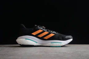 Solar Glide 5
