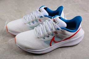 Zoom Pegasus 39
