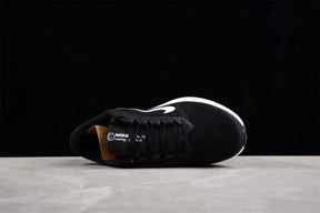 Zoom Winflo 10