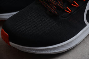 Air Zoom Pegasus 39