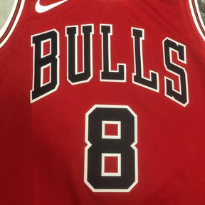 Regata NBA Chicago Bulls - Zach LaVine
