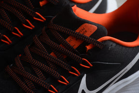 Air Zoom Pegasus 39