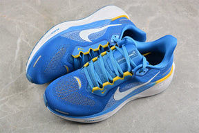 Air Zoom Pegasus 41