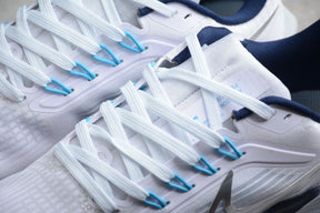 Air Zoom Pegasus 39