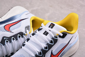 Air Zoom Pegasus 41