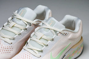 Zoom Winflo 11