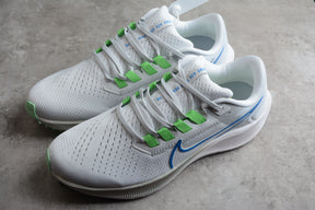 Air Zoom Pegasus 38