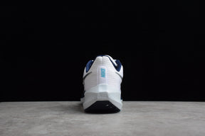 Air Zoom Pegasus 39
