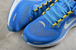 Air Zoom Pegasus 41