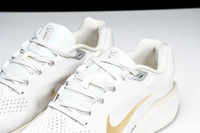 Zoom Winflo 11