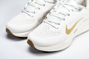 Zoom Winflo 11