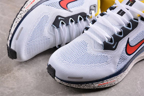Air Zoom Pegasus 41