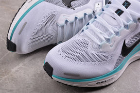 Air Zoom Pegasus 41