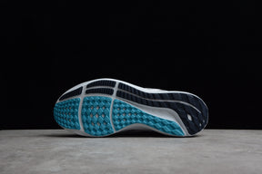 Air Zoom Pegasus 39