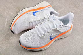Air Zoom Pegasus 41