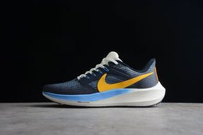 Air Zoom Pegasus 39