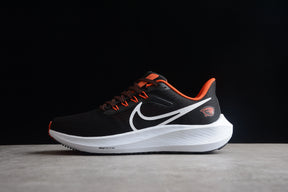 Air Zoom Pegasus 39