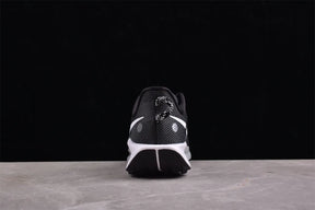 Pegasus Trail 5