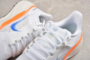 Air Zoom Pegasus 41