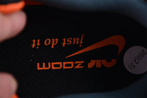 Air Zoom Pegasus 40